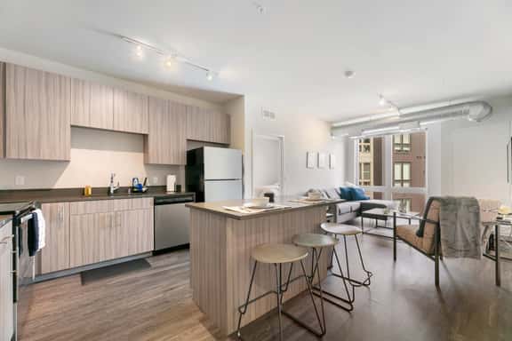 Spacious and Modern With Premium Amenities Near U of M - Image 1