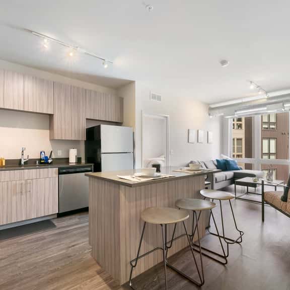 Spacious and Modern With Premium Amenities Near U of M - Image 1